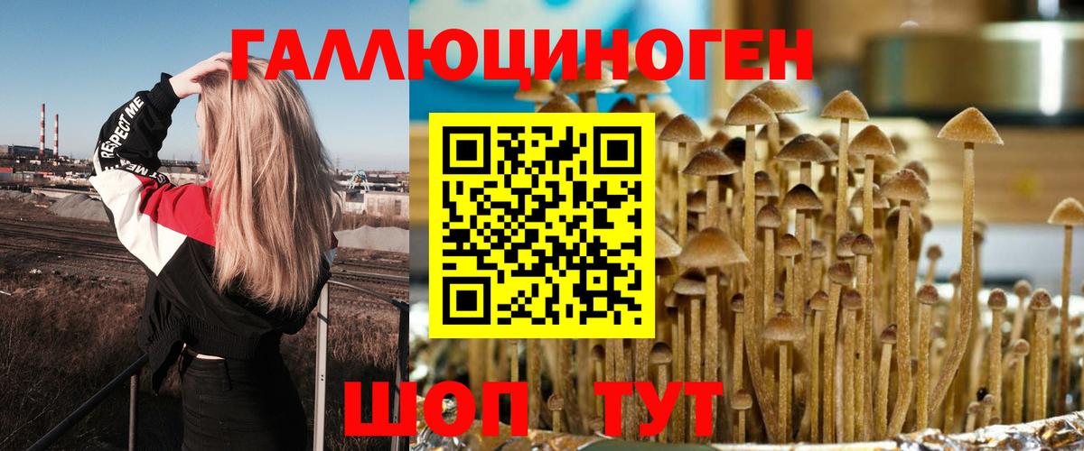 Псилоцибиновые грибы GOLDEN TEACHER  Вход с VPN  Псилоцибиновые грибы Psilocybine cubensis  Углич 
